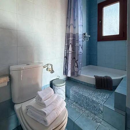 Villa Palmera 100m From The Nikiti (Sithonia)