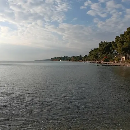 Palmera 100m From The * Nikiti (Sithonia)