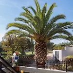 Palmera 100m From The Nikiti (Sithonia)