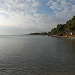 Palmera 100m From The * Nikiti (Sithonia)