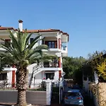 Palmera 100m From The