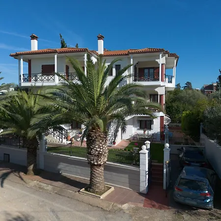 Palmera 100m From The * Nikiti (Sithonia)