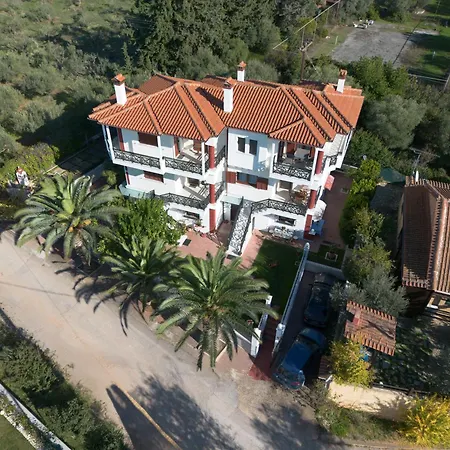 Palmera 100m From The *