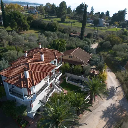 Villa Palmera 100m From The *