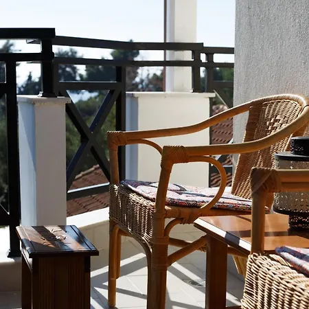 Palmera 100m From The *