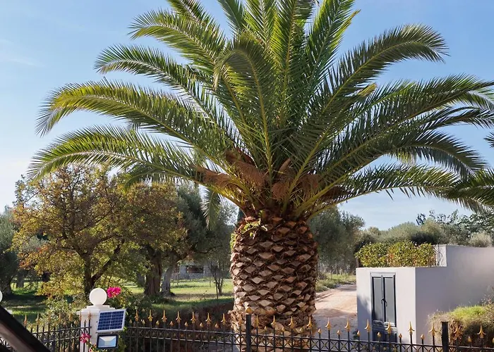 Palmera 100m From The Никити