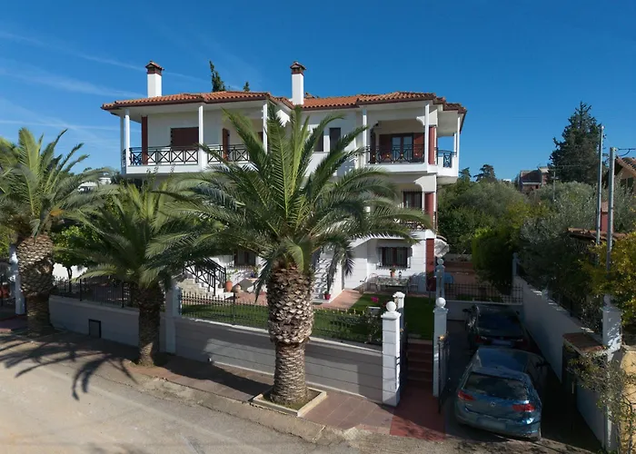 Palmera 100m From The * Nikiti (Sithonia)