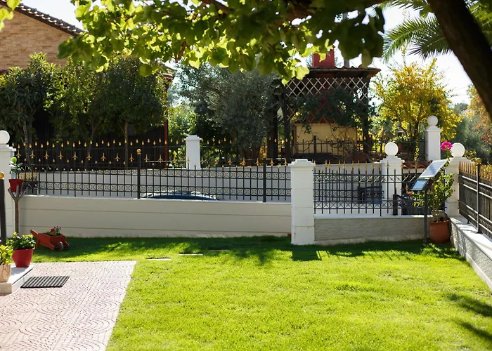 Palmera 100m From The *