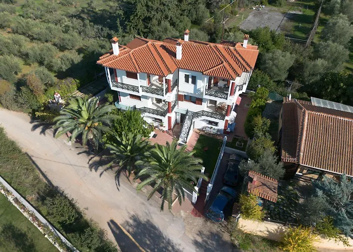 Palmera 100m From The *