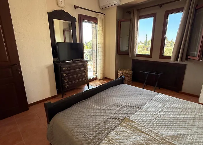 Villa Palmera 100m From The *