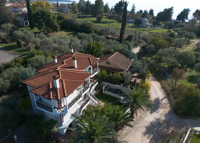 Villa Palmera 100m From The *