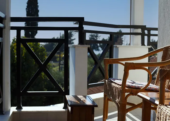 Palmera 100m From The