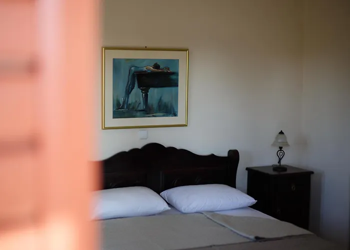 Palmera 100m From The