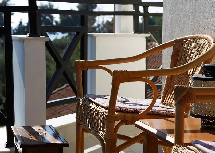 Palmera 100m From The *