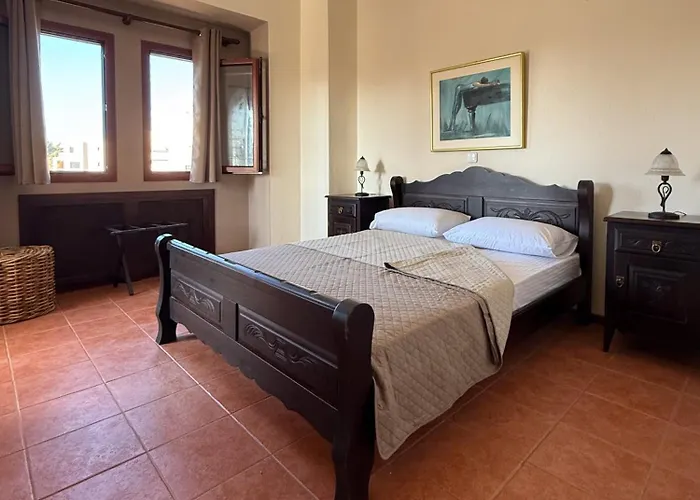 Palmera 100m From The