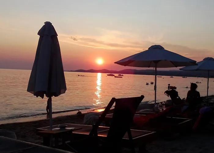 Villa Palmera 100m From The