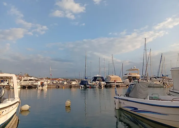 Palmera 100m From The *