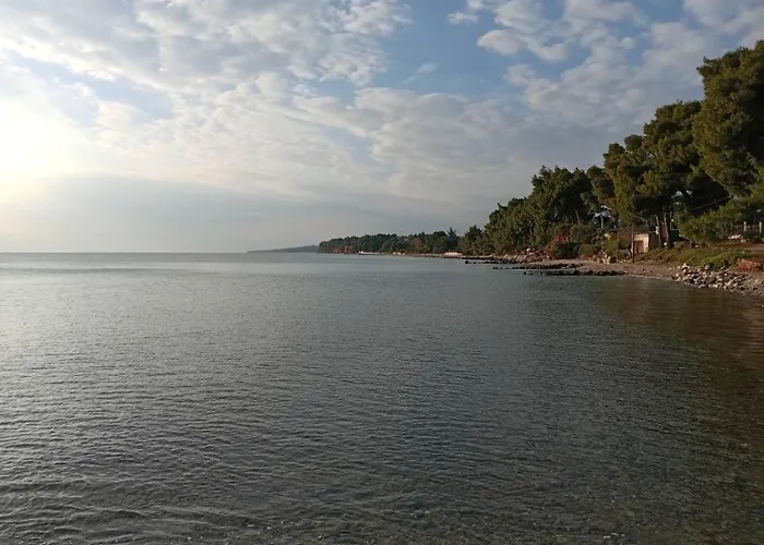 Palmera 100m From The * 尼基季