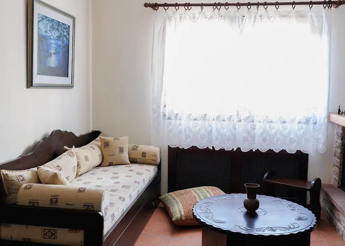 Palmera 100m From The *