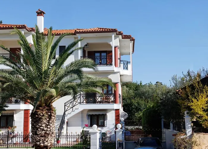 Palmera 100m From The