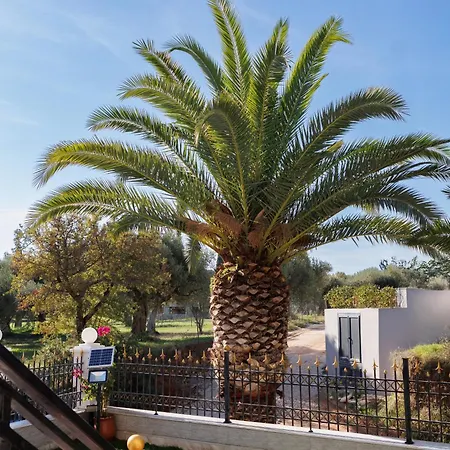 Palmera 100m From The Nikiti (Sithonia)