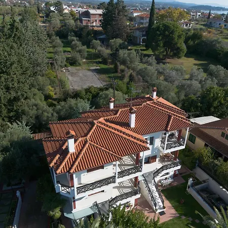 Palmera 100m From The Vila *