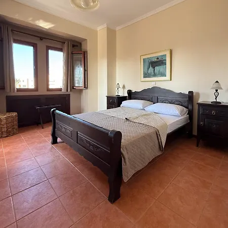 Palmera 100m From The