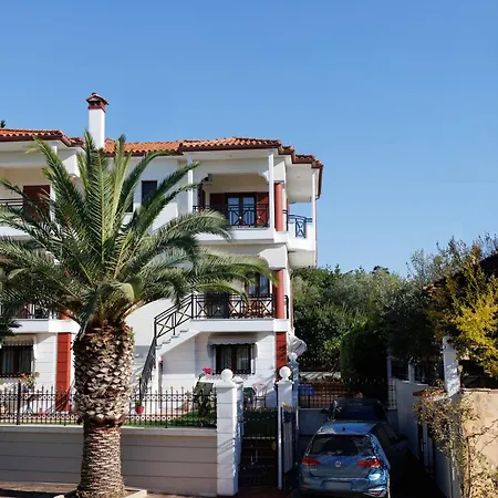 Palmera 100m From The