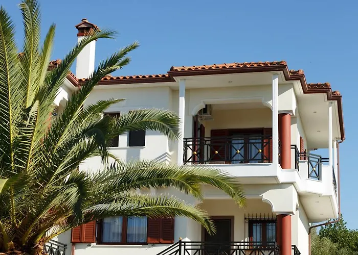 Palmera 100m From The