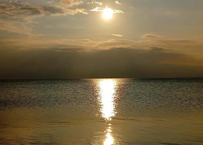 Palmera 100m From The