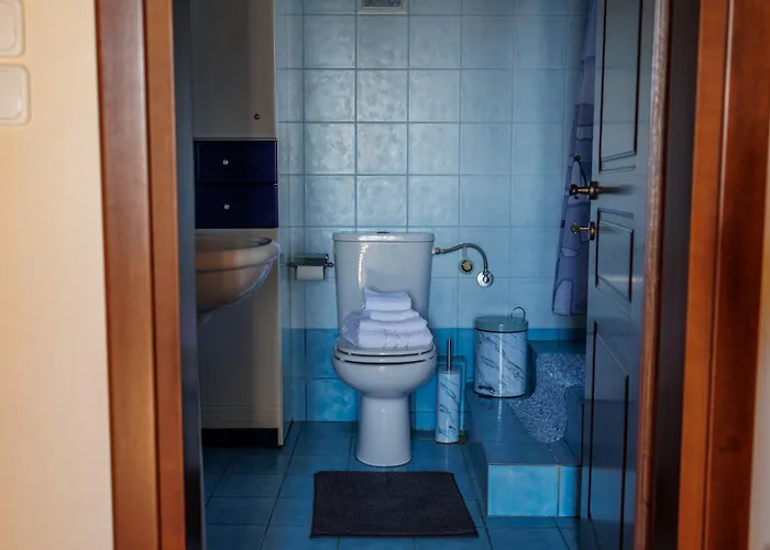 Palmera 100m From The ニキティ