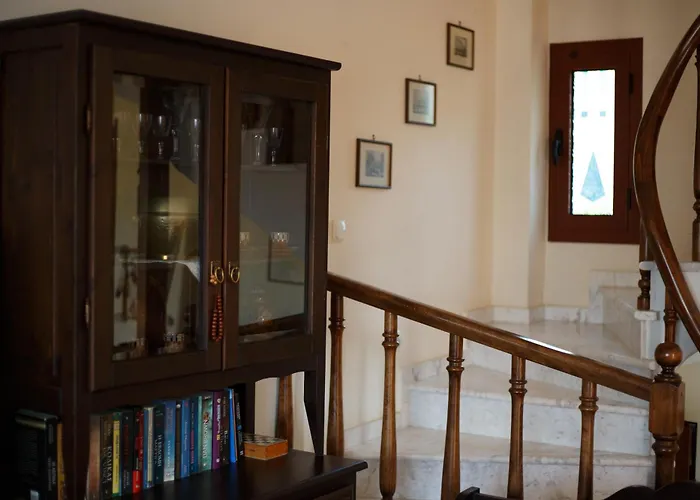 Palmera 100m From The *