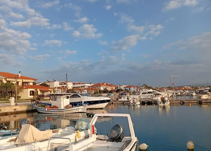 Palmera 100m From The ニキティ