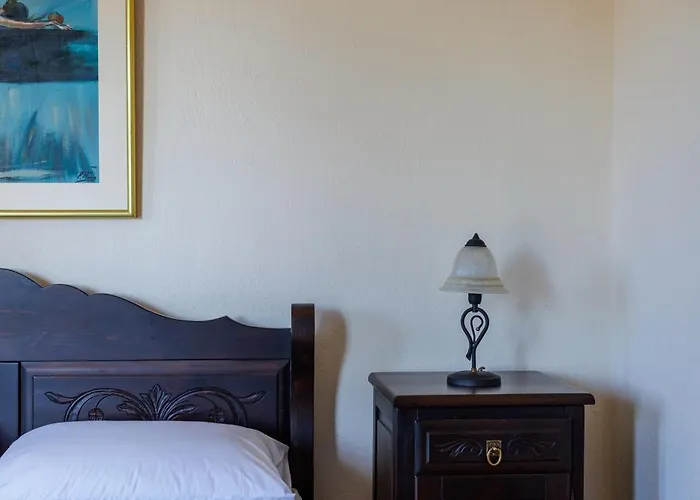 Palmera 100m From The ニキティ