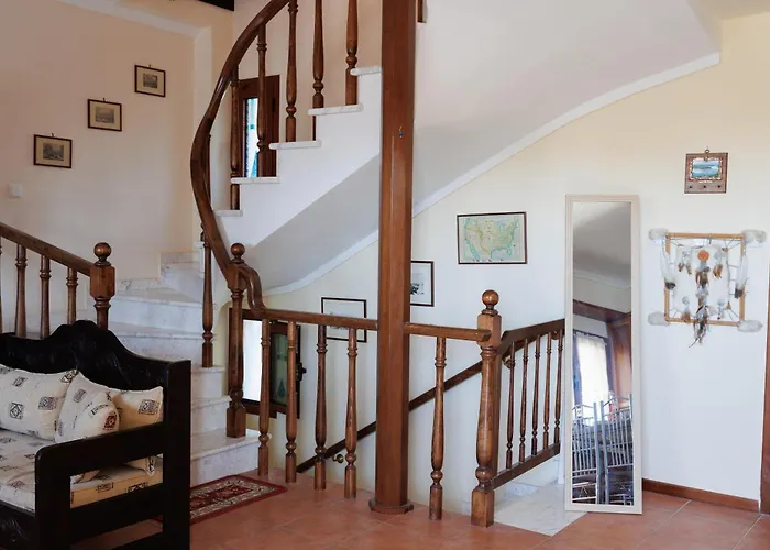 Palmera 100m From The